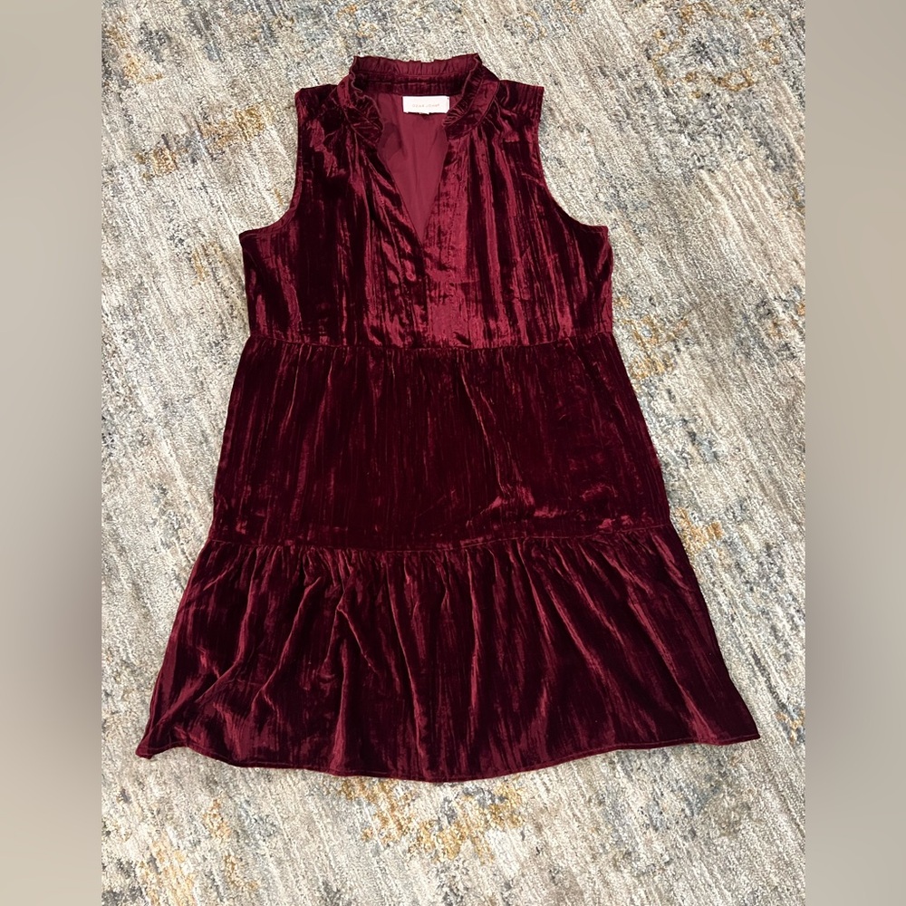 Dear John maroon velvet dress
